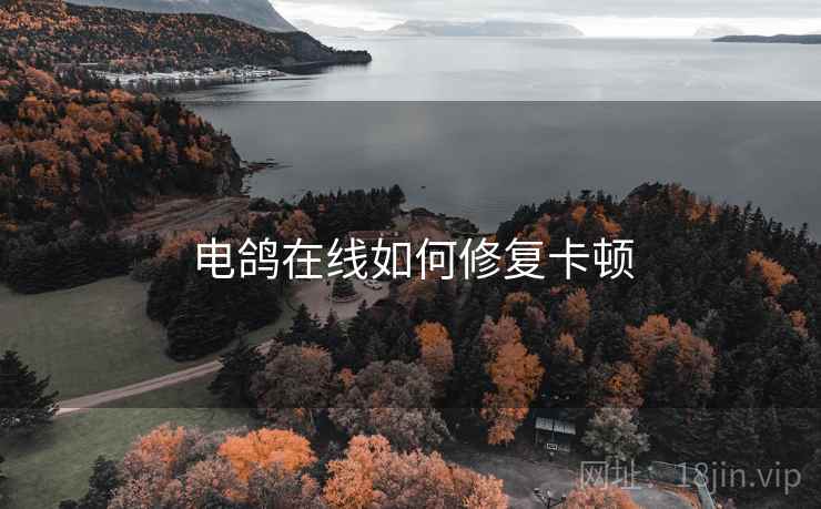 电鸽在线如何修复卡顿 电鸽在线如何修复卡顿