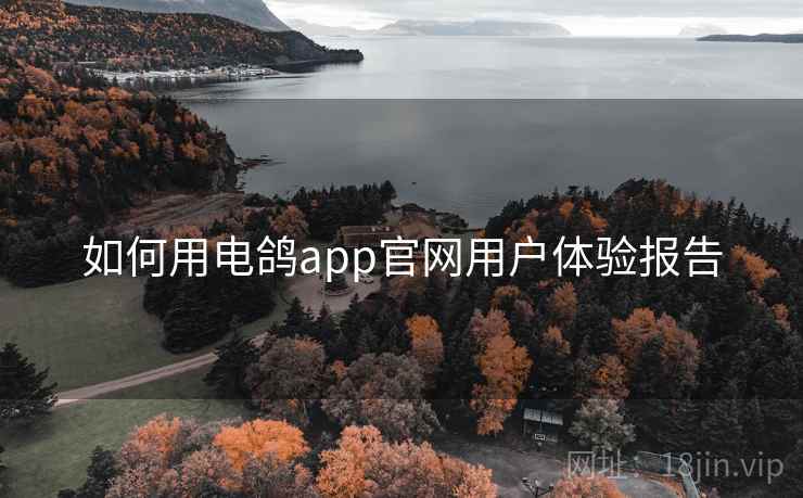 如何用电鸽app官网用户体验报告