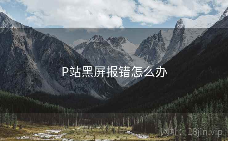 P站黑屏报错怎么办