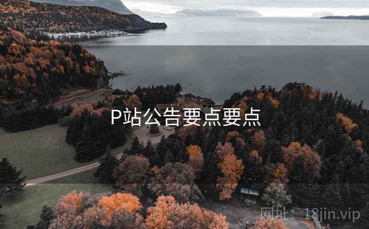 P站公告要点要点 P站公告要点要点